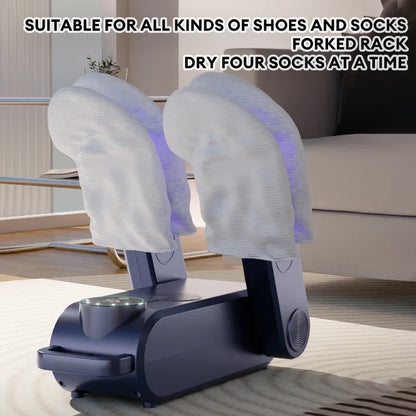 Electric Shoes Dryer & Deodorizer, 220V
