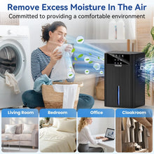 Portable Household Dehumidifier for Air Purification Moisture Removal Compact Drying Anti Humidity Dehumidification Tool