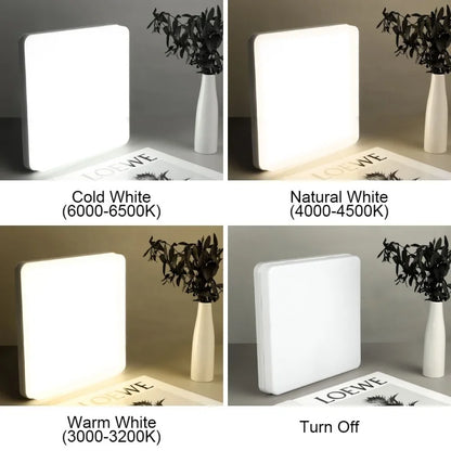 LED Ceiling Lamp 18-48W  Daylight Modern Home Lighting