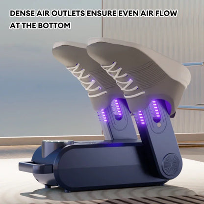 Electric Shoes Dryer & Deodorizer, 220V